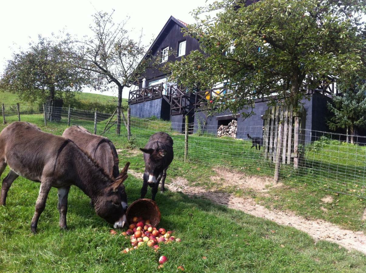 Hoeve Schoonzicht 빌레 외부 사진